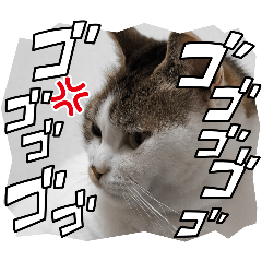 orange_20250718152643