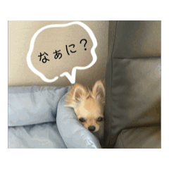 HANA_20250719073615