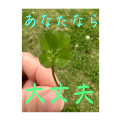 Mei_20250718164827