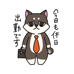 wasabi_20250717222458