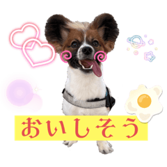 Maki_20250717223840
