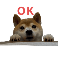 Ryo_20250718011939