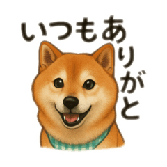 MAKI_20250718012934