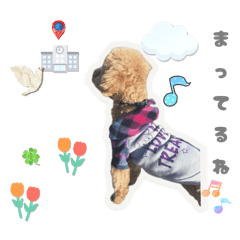 haru_20250717234446