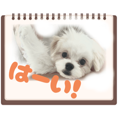 Mio_Hinata's sticker