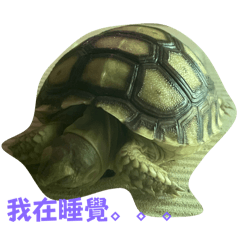 歐一
