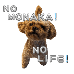 kurumi_20250718095234