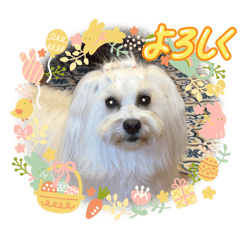 Yukari_20250718084701