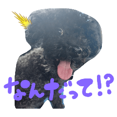 tsubaki_20250718090325