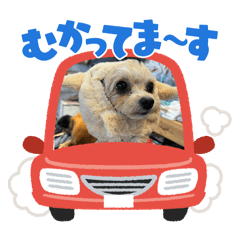 ichi_20250718171037