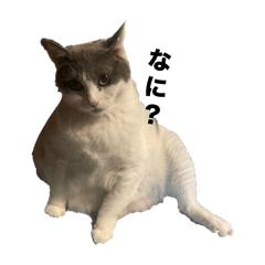 arisa_20250718120453