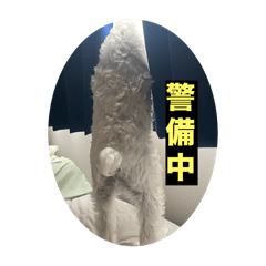 yamada_20250718141709