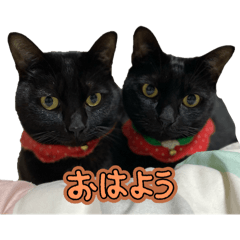 natsu_20250718143055