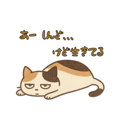 vivi_20250718144040