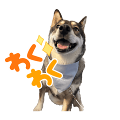 maimai_20250718144043