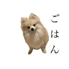 Moe_20250718150536