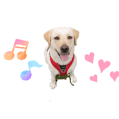 chichi_20250718152620