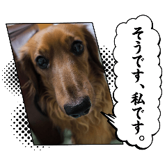 orange_20250718223508