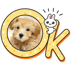Connie弟弟1
