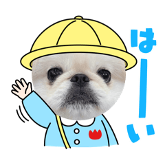 koko_20250718162252
