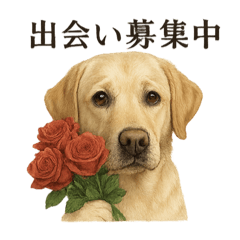 恋するラブラドールレトリバーの本音