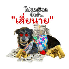 เสี่ยนาย