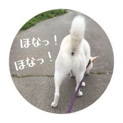 maki_20250717184848