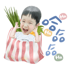 楷楷柏叡萌趣日常