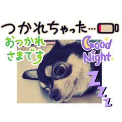 keiko_20250719214056