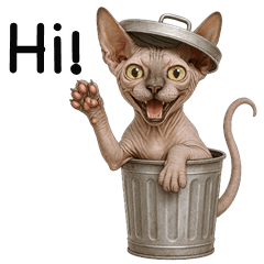 Funny Sphynx Cat (ENG)