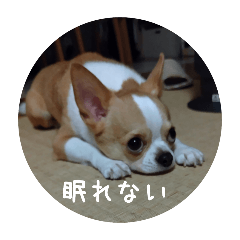 tm_ux_xu