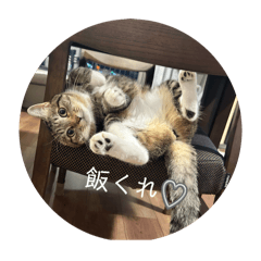 Ayu_20250718231554