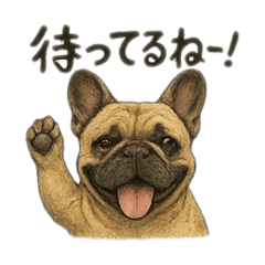 aki_20250718212359