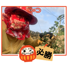 216）ㄔ