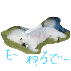 aki_20250719040754