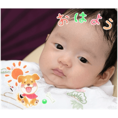 AMASE stamp