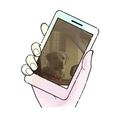 himawari_20250718234258