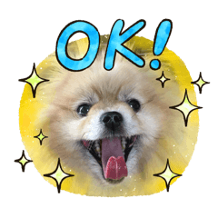 mokotan_20250719100555