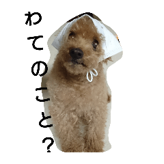 warashi_20250719015345