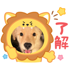 yumi_20250719144308