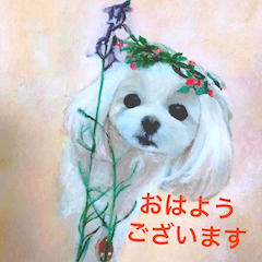 A cute dog series 01