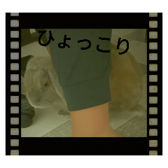 honoka_20250719125622