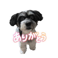 taro_20250719173059