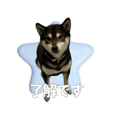 non_20250718221815