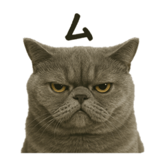 chiko_20250718222434