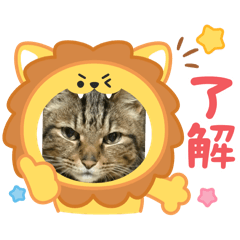 kiki_20250719084943