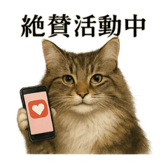 【婚活】恋するノルウェージャンフォレスト