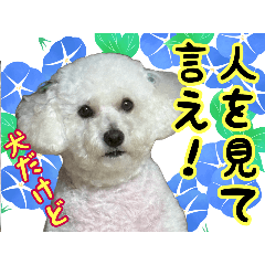shige_20250719112513