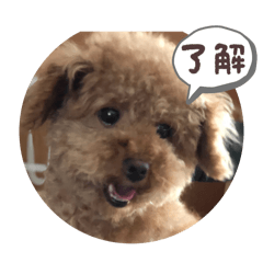 choco_20250719
