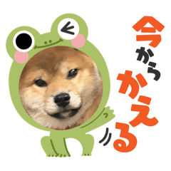 momoka_20250719140430